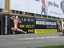 Bodies-3.jpg